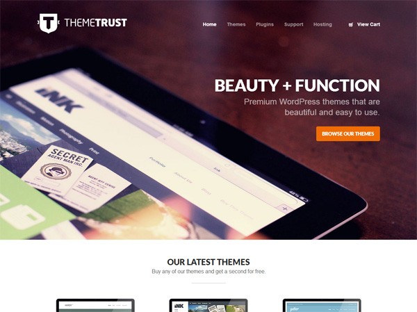 Example of a web design using a large photo: Theme Trust