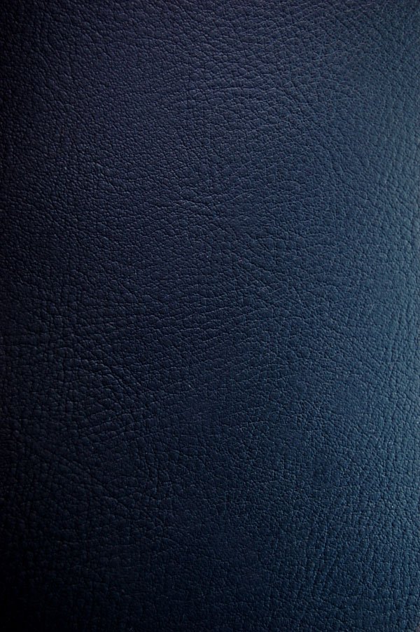 Leather Texture 04