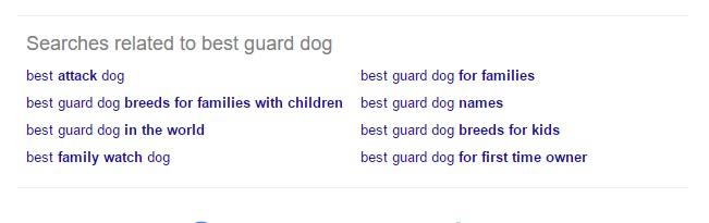 Related searches from Google