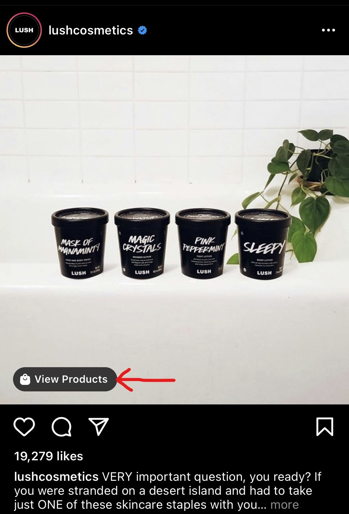 lush product button