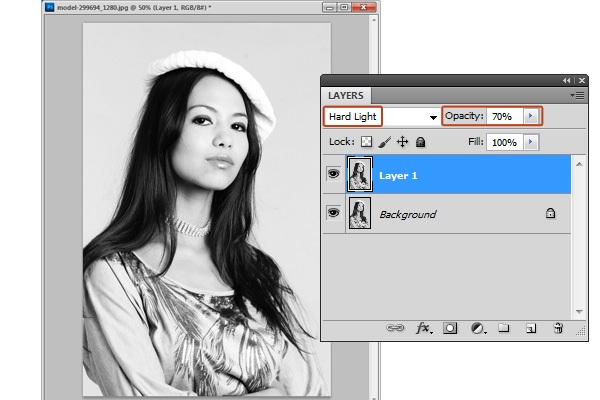 Reduce the photographic details using the Hard Light blend mode.