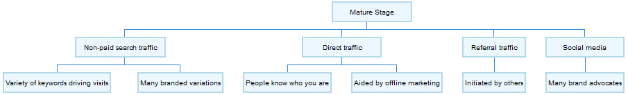 breakdown of a website's mature stage