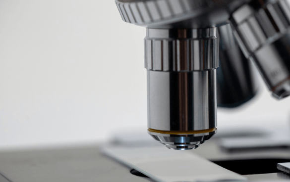 Close-up of a compound microscope's objective lenses with a blurred background.