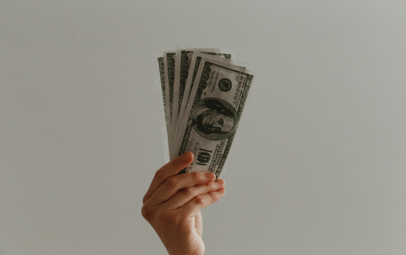 person holding up money