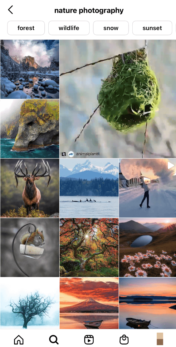 A search for nature photography on Instagram