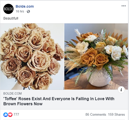 organic post roses