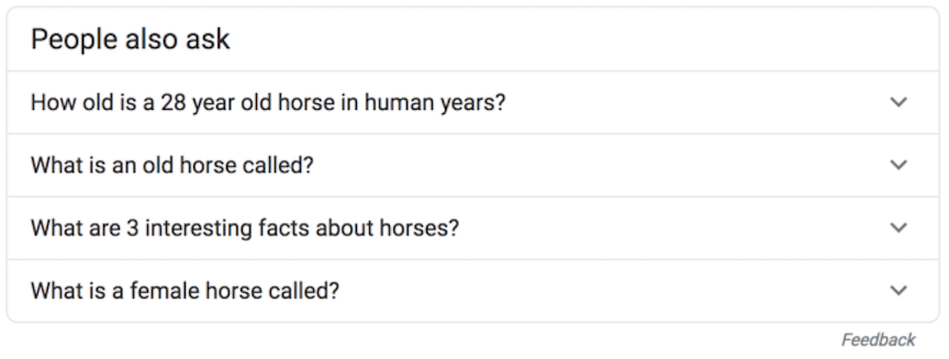 People Also Ask box with questions about horses