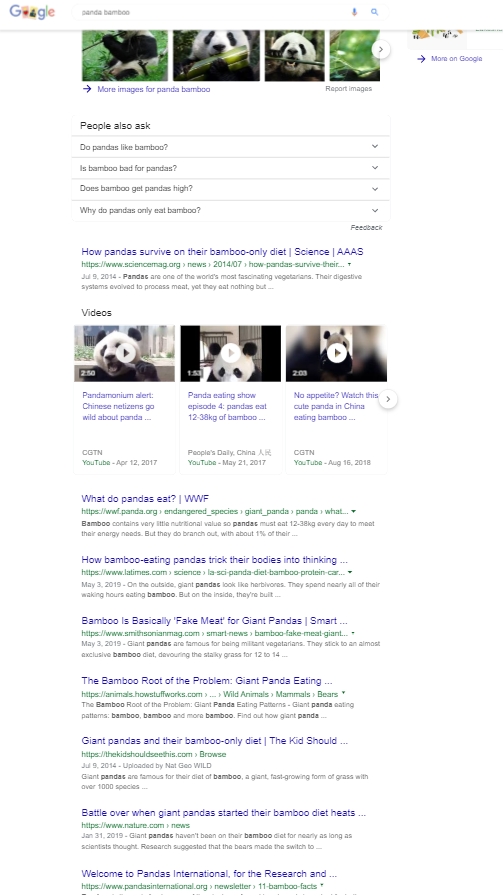 google search panda bamboo