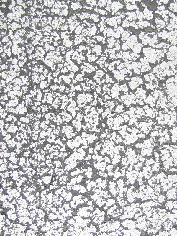 Pavement Texture 06