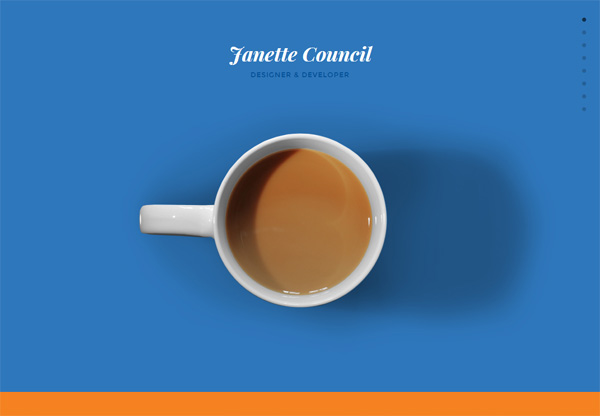 Portfolio design of Janette Council