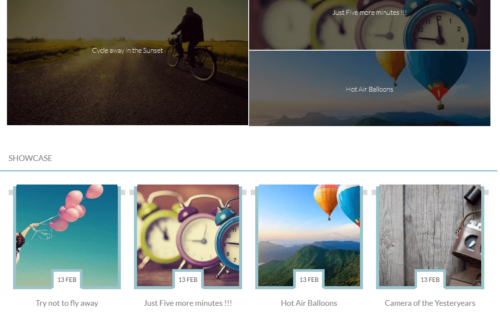 WordPress Themes