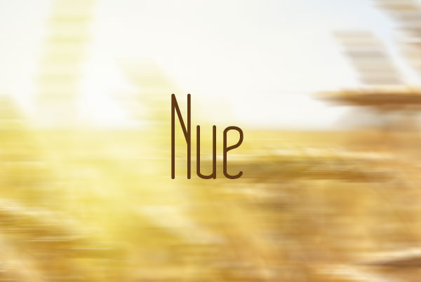 sans serif font 020 nue