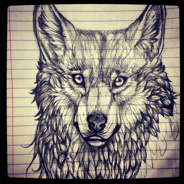 Wolf sketch by ricenator