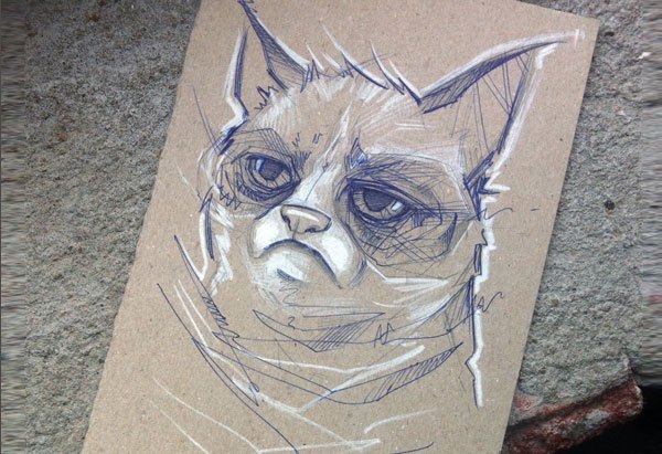 I drew Grumpy Cat...by tyleR coey