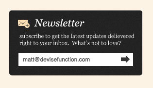 Design the Newsletter widget