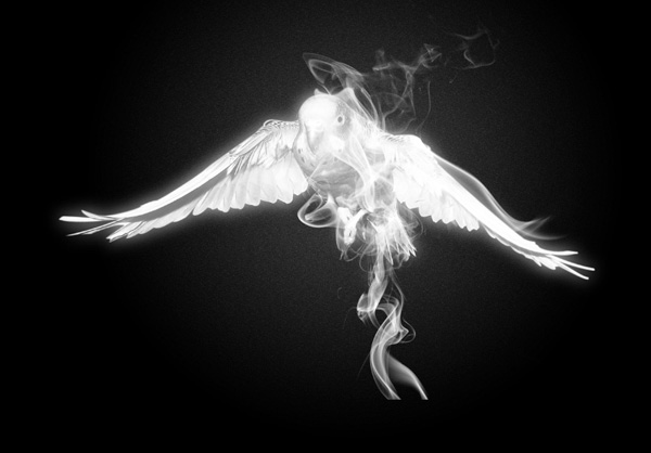 Create Smoke Around the Bird