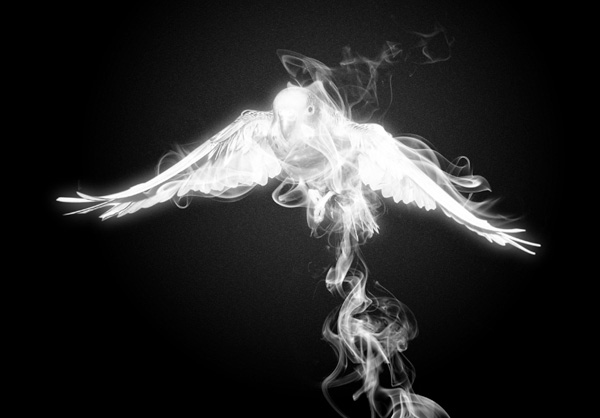 Create Smoke Around the Bird