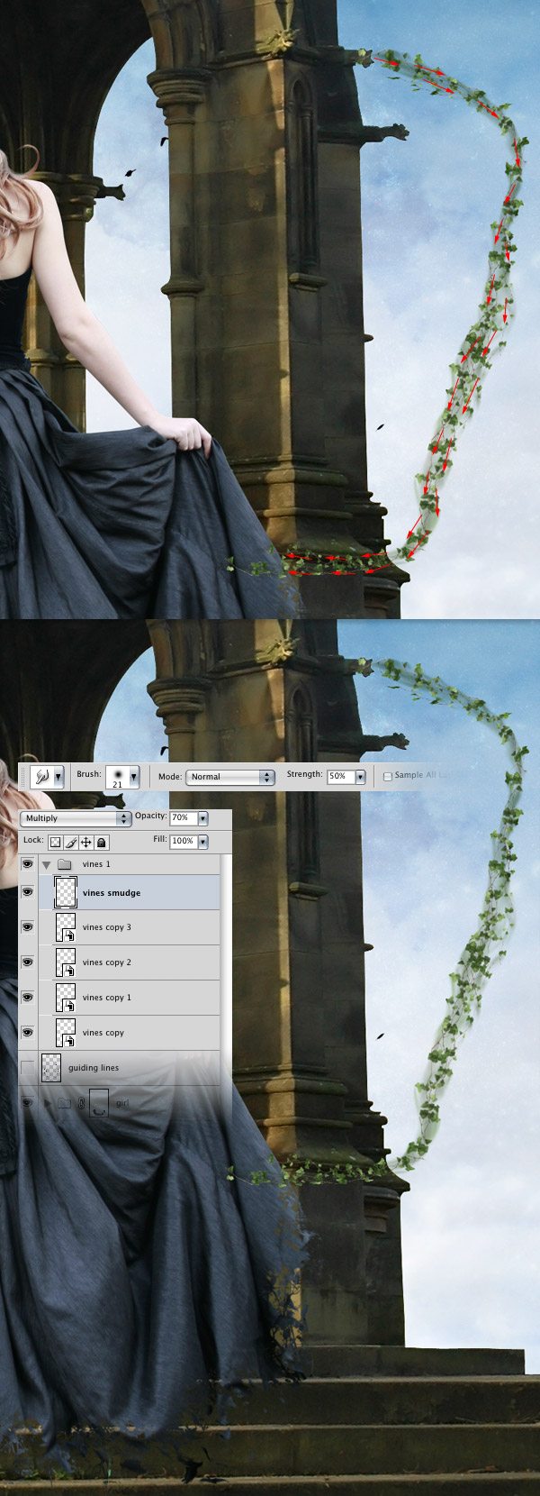 step18 vines2