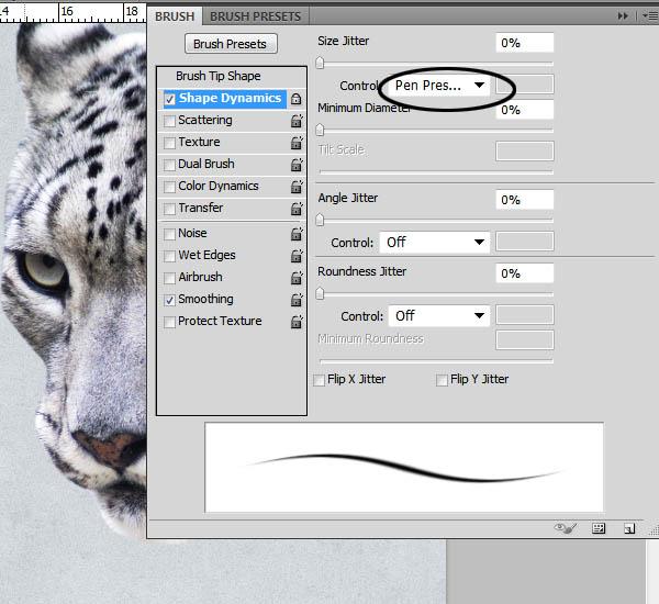 step3 brush shape dynamics