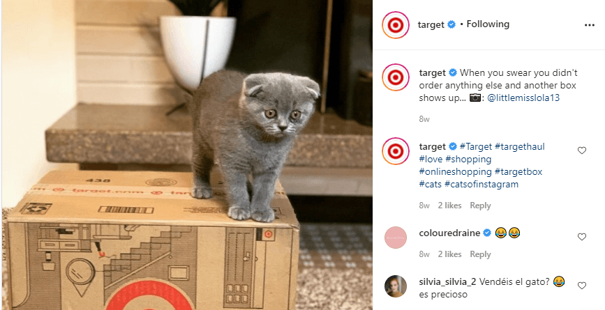 Kitten on top of a Target box