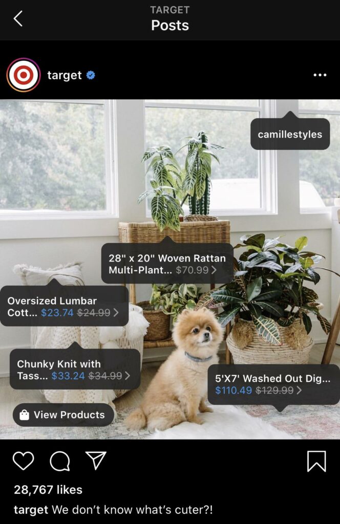 A screenshot of a Target social media post featuring a cozy home decor setting with a fluffy Pomeranian dog sitting on a rug, surrounded by potted plants, a woven rattan planter, and decorative pillows. Price tags overlay the image, showing discounts on various home goods.