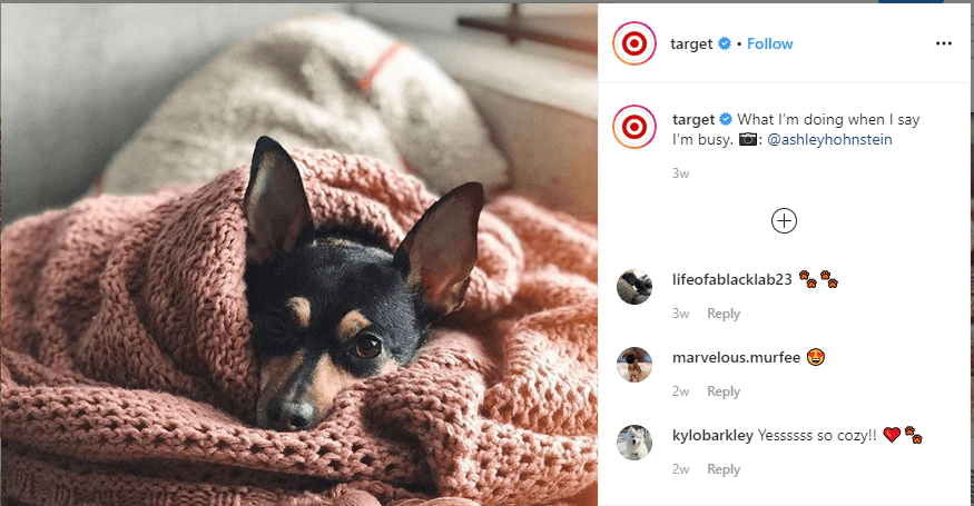 target user generated content