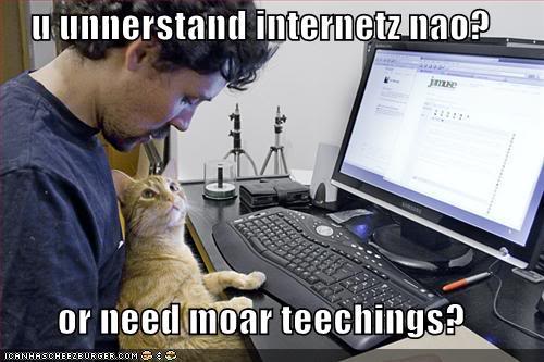 teaching lolz cat