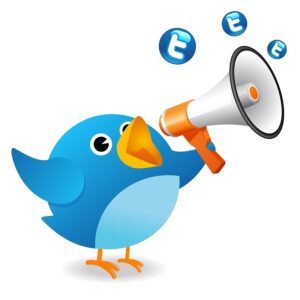 twitter marketing 300x300