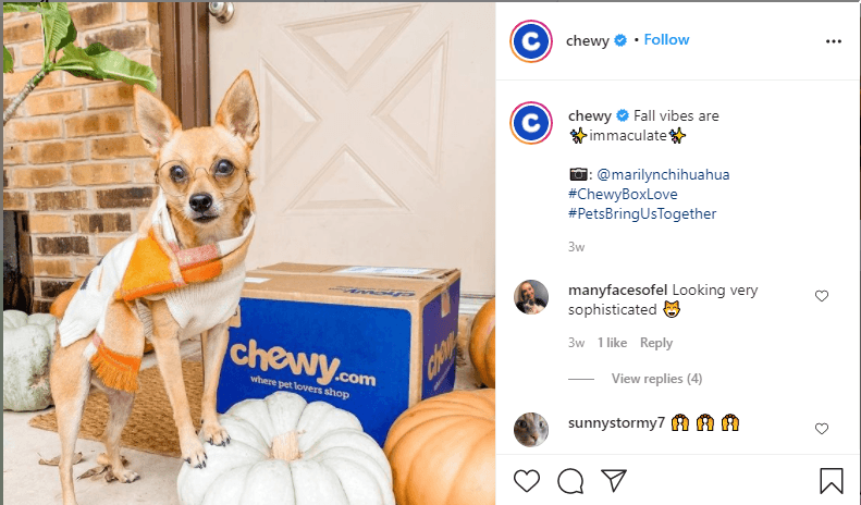 user generated content chewy