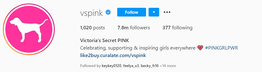 victoria secret instagram logo