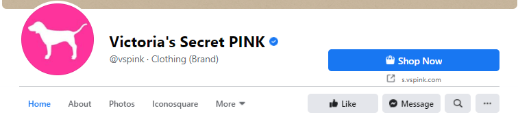 victoria secret pink logo