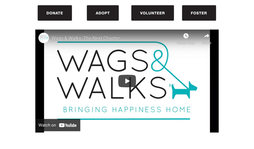 video landing page for Wags & Walks