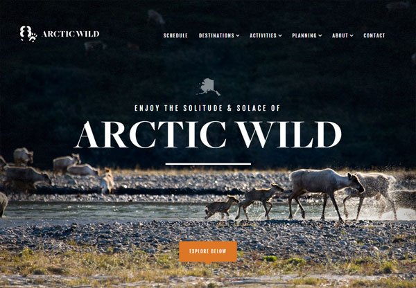 Web design with a big background: Arctic Wild