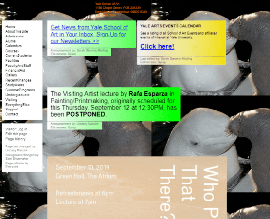 Example of website failure in design