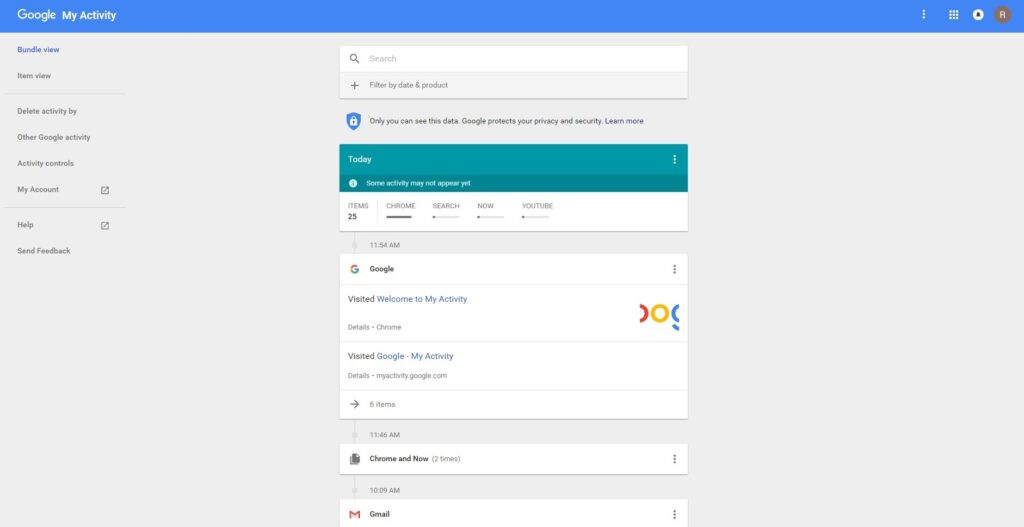 Google "my activity" dashboard