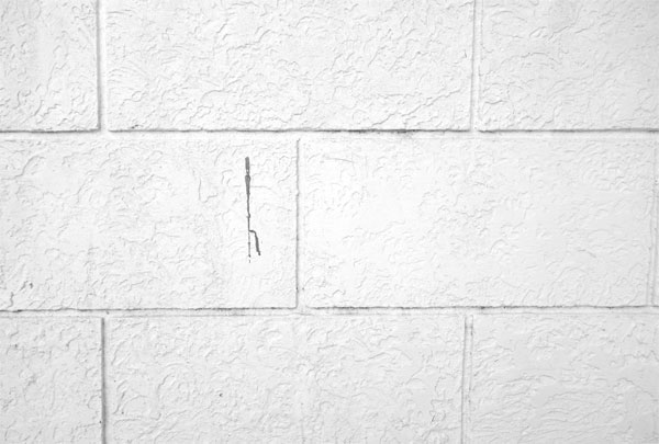 white brick wall texture