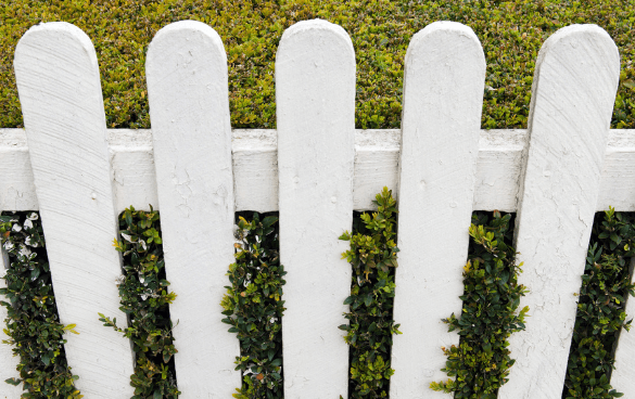 White picket fence