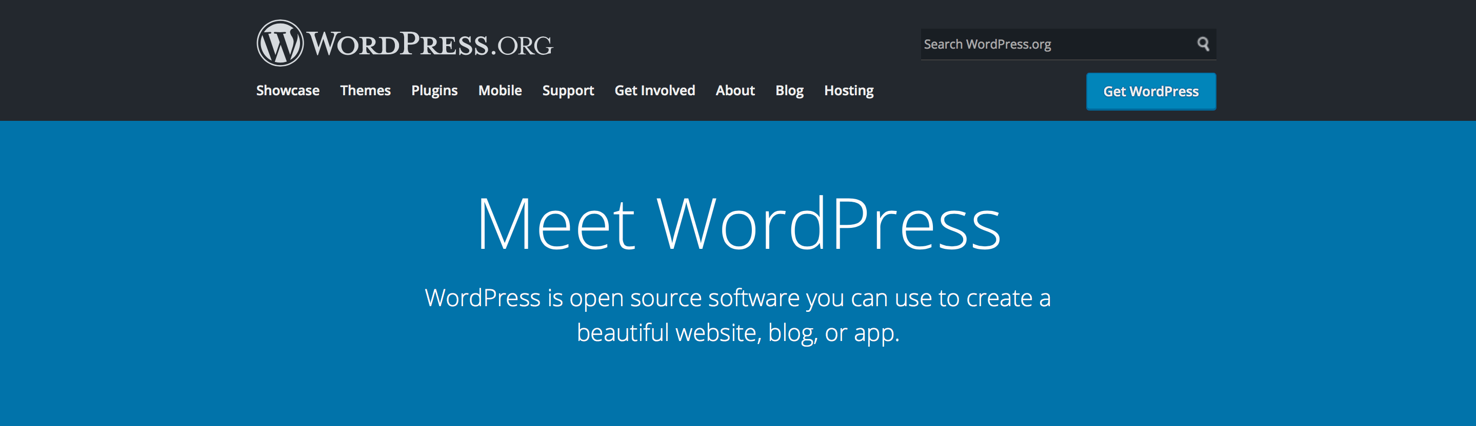 wordpress website