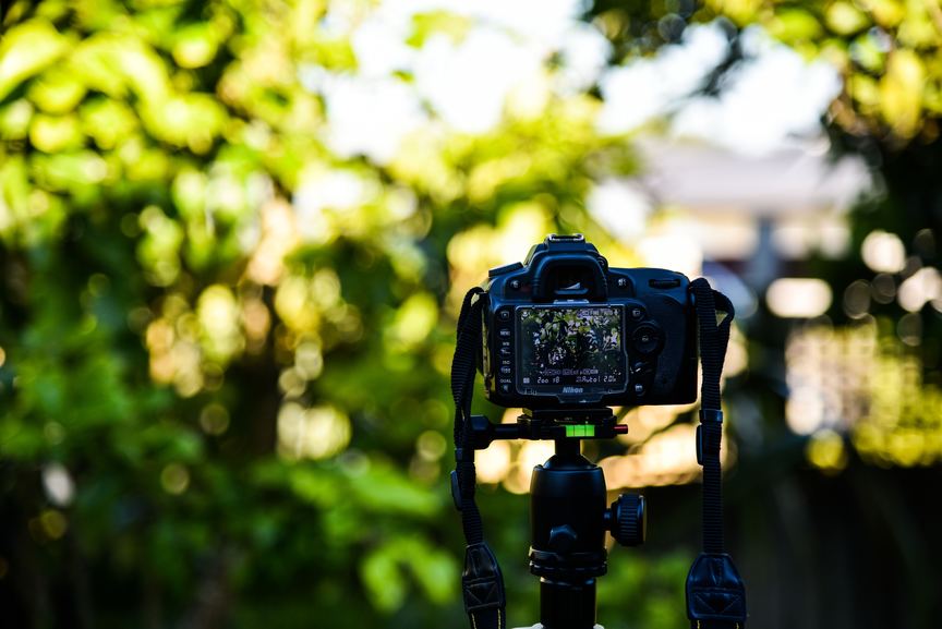 A DSLR camera on a tripod with its screen showing a preview of a photo with green foliage, set against a blurred natural background.