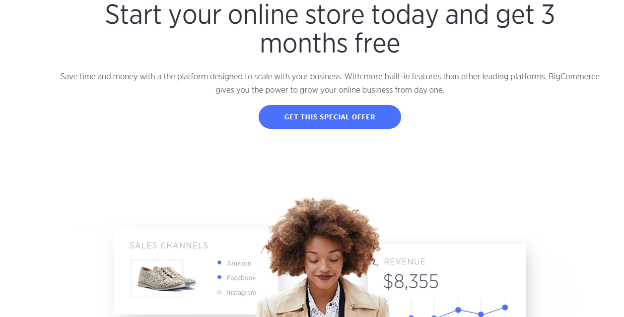 BigCommerce ecommerce snapshot