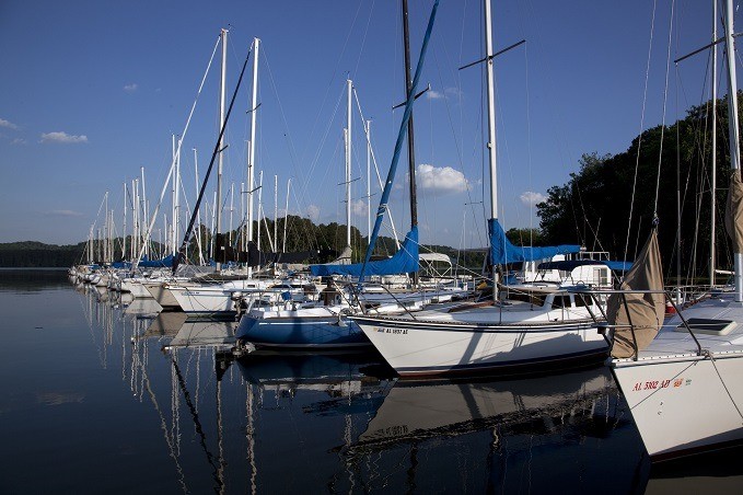 A row of sailboats docked at a marina with clear skies and trees in the background, reflecting in calm water.