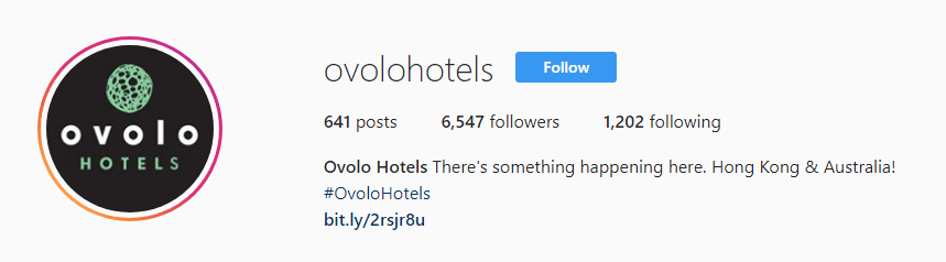 Ovolo Instagram page