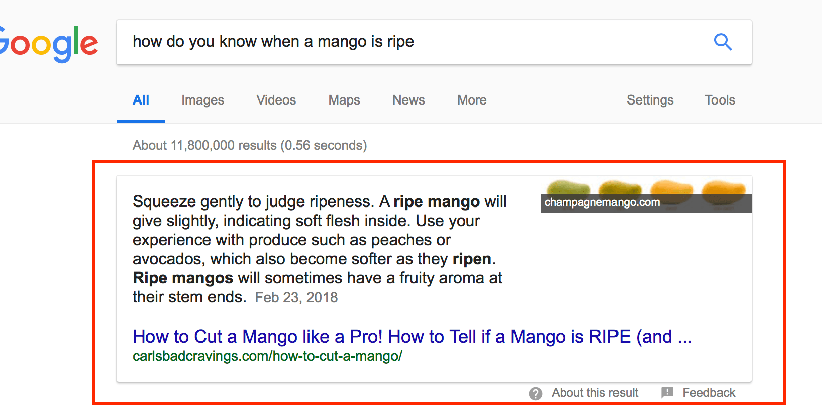 featured snippet example