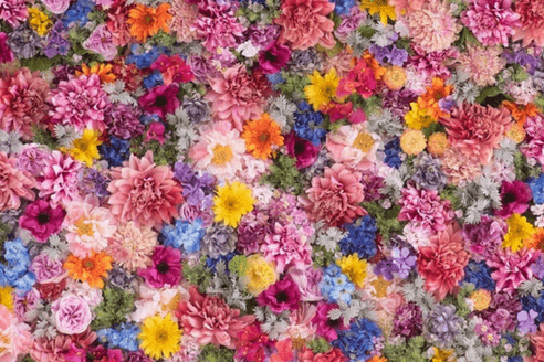 A vibrant assortment of densely packed flowers in a variety of colors.