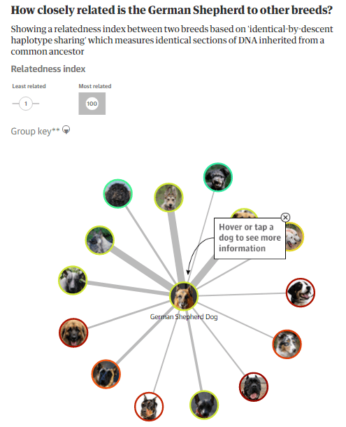 guardian infographic types of interactive content example