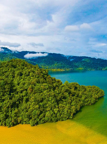 Aerial view of a green forested peninsula jutting into a body of water with a clear demarcation between blue and sediment-rich brown water, with mountains and clouds in the background.