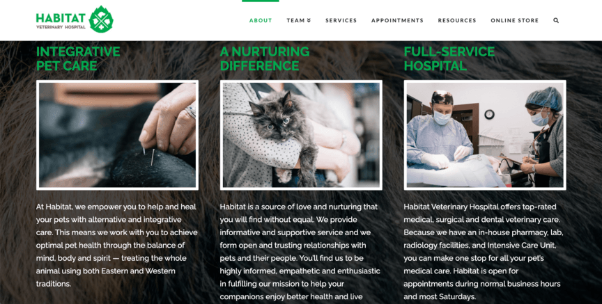 Veterinarian website design example