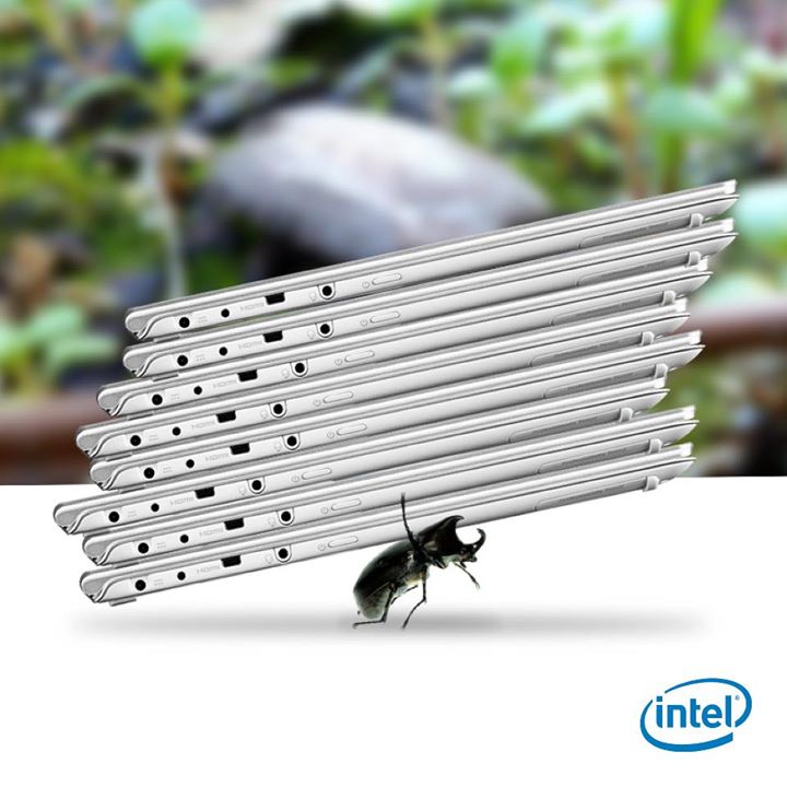 intel rhinobeetle 1