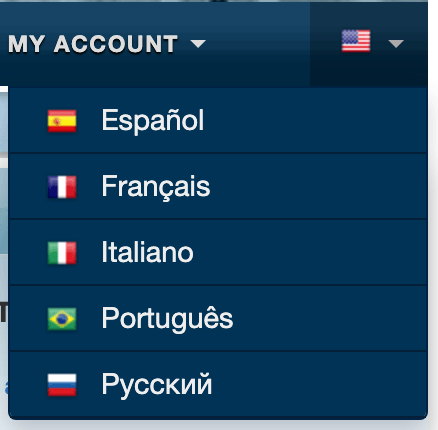 Language options on translator site