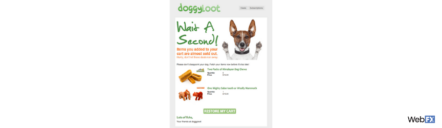 Marketing automation example Doggyloot